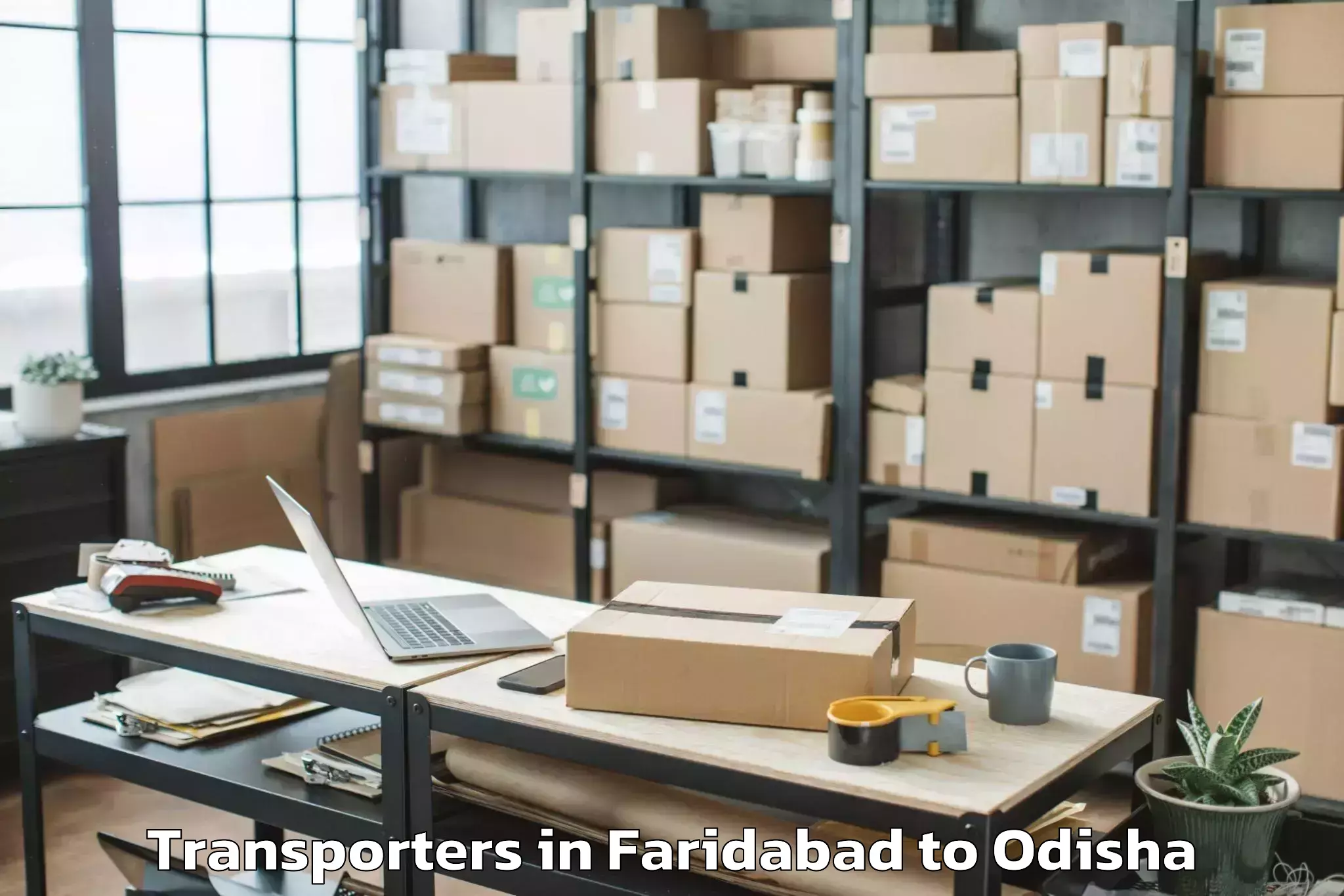 Book Faridabad to Kalinga Institute Of Industria Transporters Online